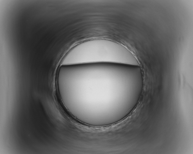 X0000099980002200805231033