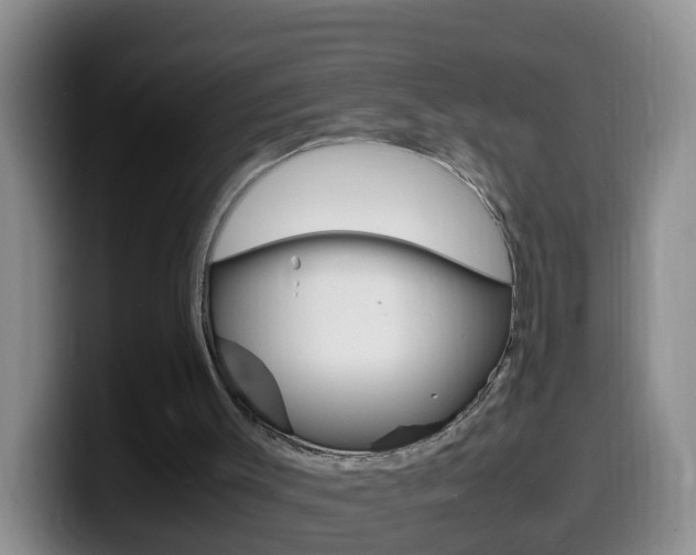 X0000099980003200805231033
