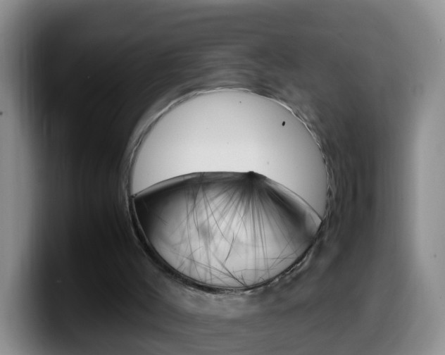 X0000099980004200805231033