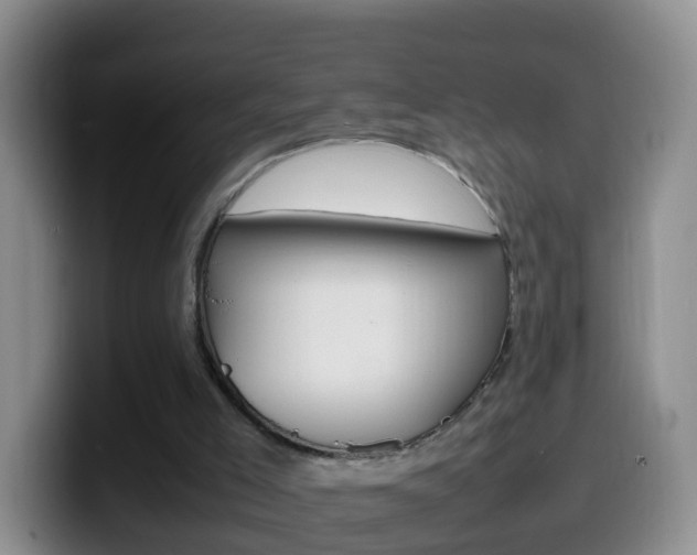 X0000099980005200805231033