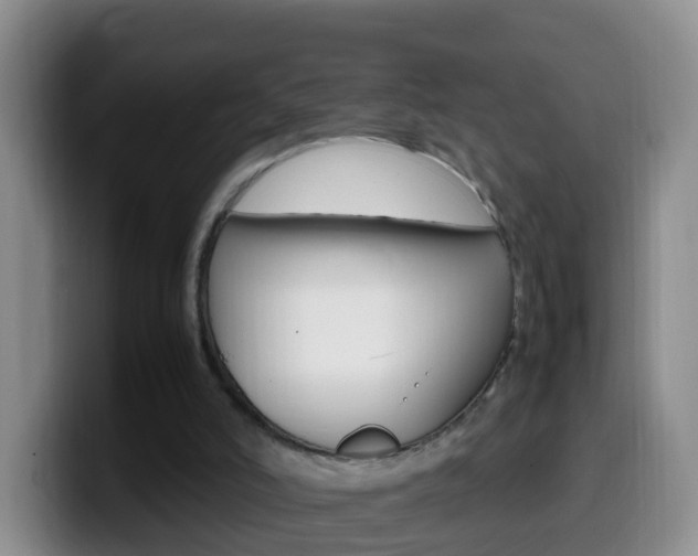 X0000099980006200805231033