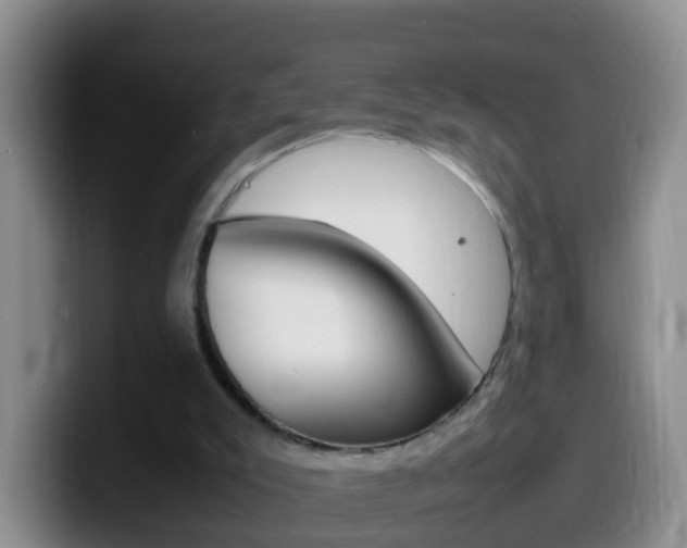 X0000099980007200805231033