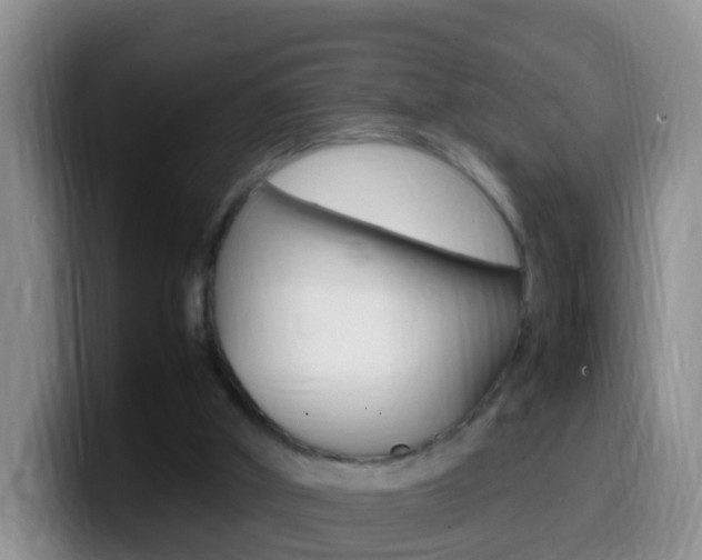 X0000099980010200805231033