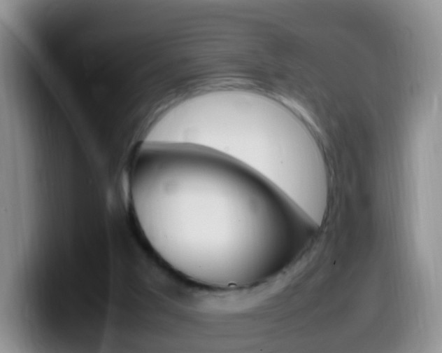 X0000099980013200805231033