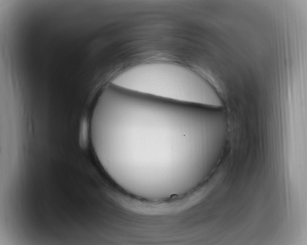 X0000099980014200805231033