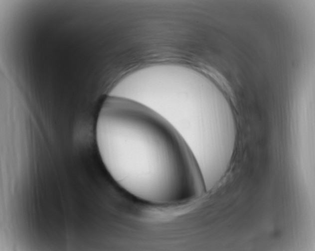 X0000099980017200805231032