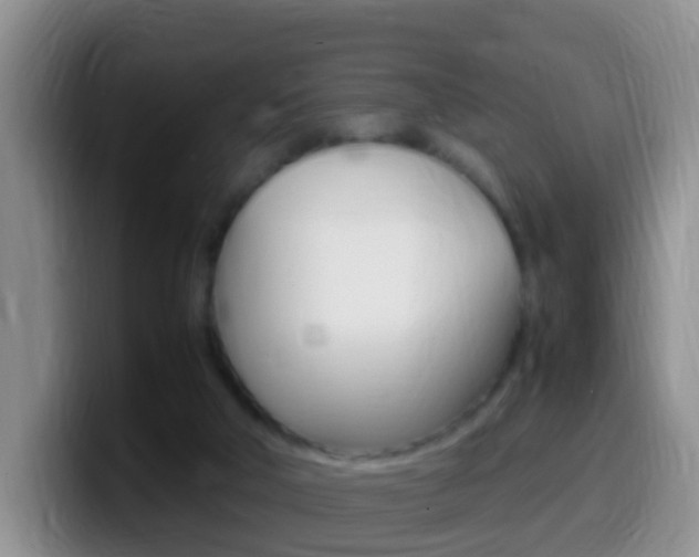 X0000099980018200805231032