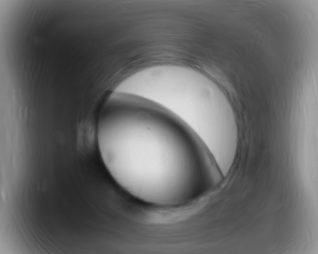 X0000099980021200805231032