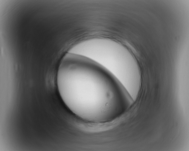 X0000099980023200805231032