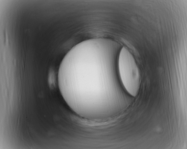 X0000099980026200805231032