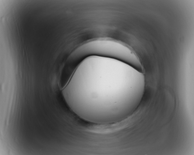 X0000099980029200805231032