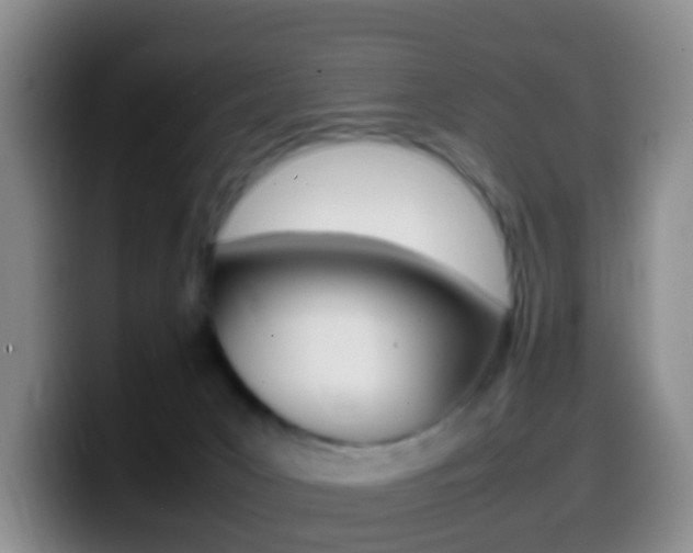 X0000099980031200805231032