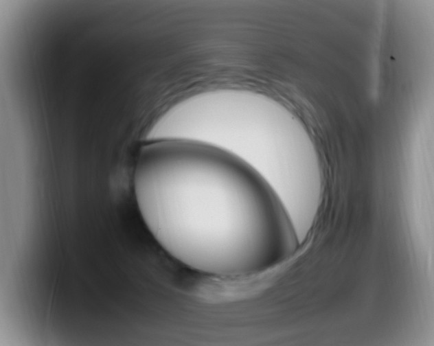 X0000099980033200805231032