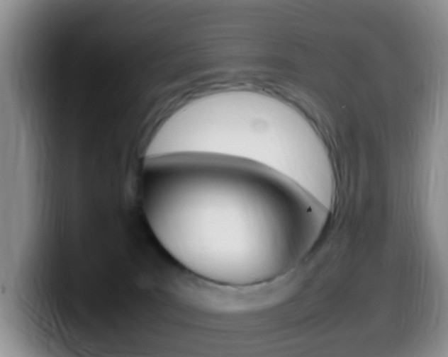 X0000099980035200805231032