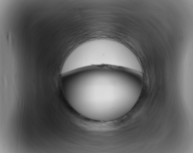 X0000099980036200805231032