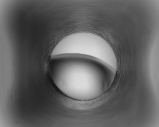 X0000099980039200805231032