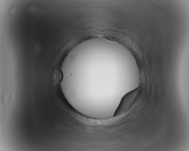 X0000099980043200805231032