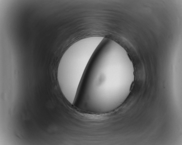 X0000099980044200805231032