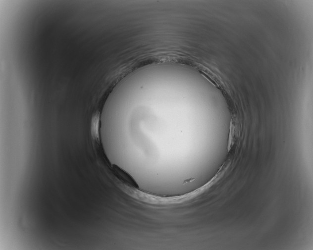 X0000099980047200805231032