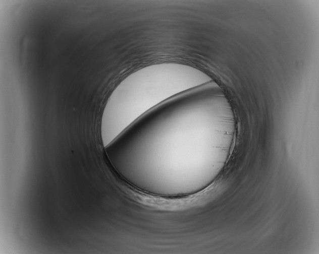 X0000099980048200805231032