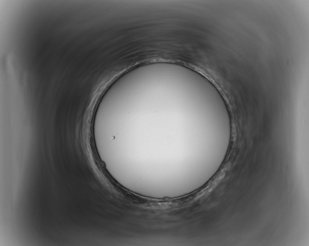 X0000099980049200805231031