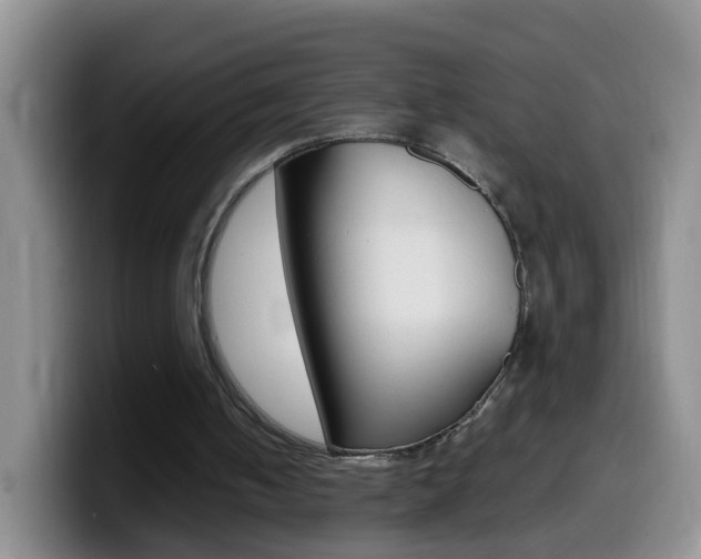 X0000099980050200805231031