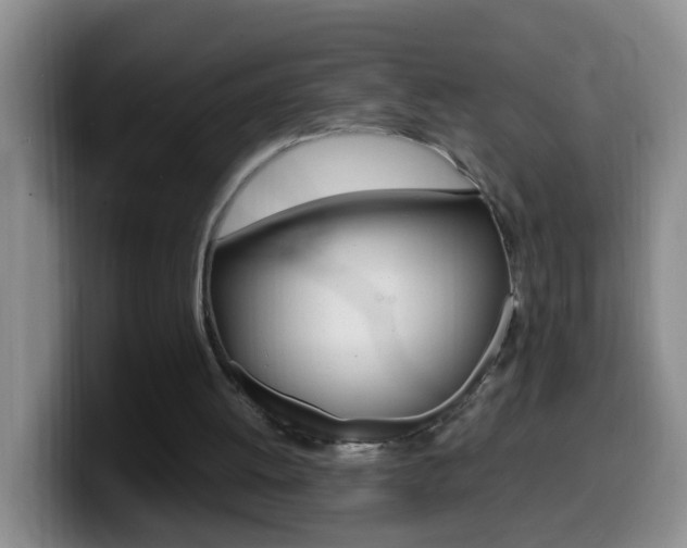 X0000099980052200805231031