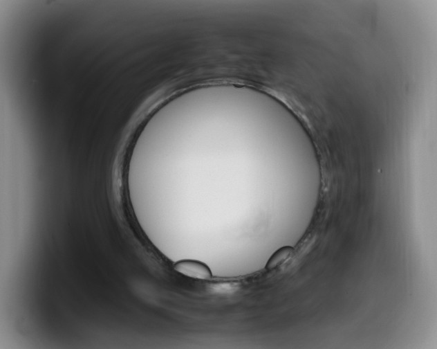 X0000099980053200805231031
