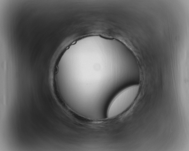 X0000099980055200805231032