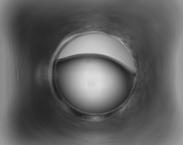 X0000099980056200805231032