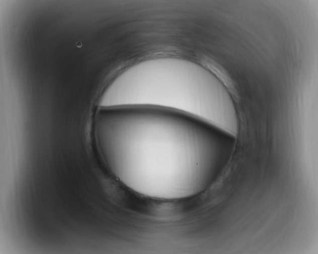 X0000099980058200805231032