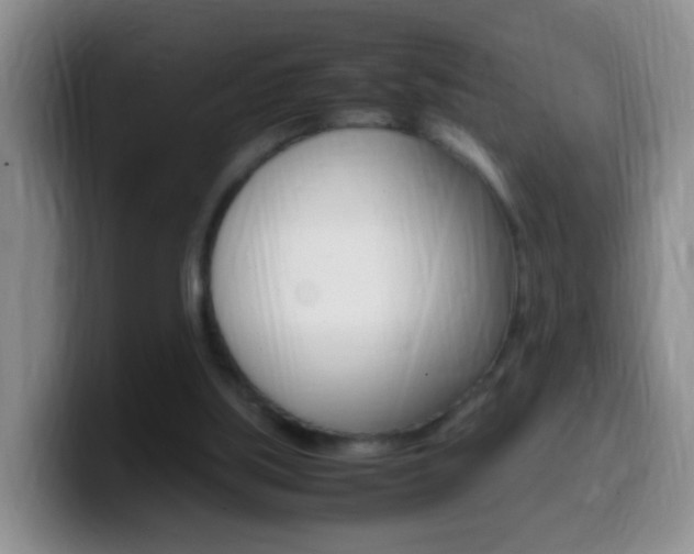 X0000099980059200805231032