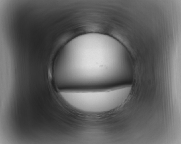 X0000099980062200805231032