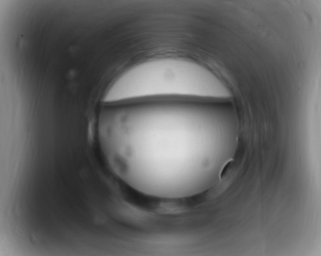 X0000099980070200805231032
