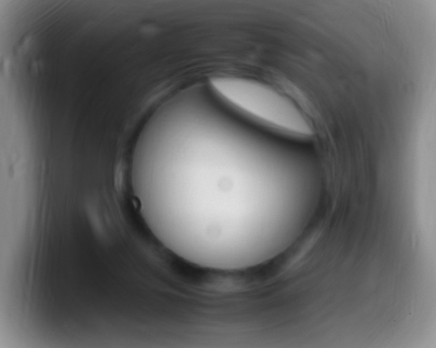 X0000099980071200805231032