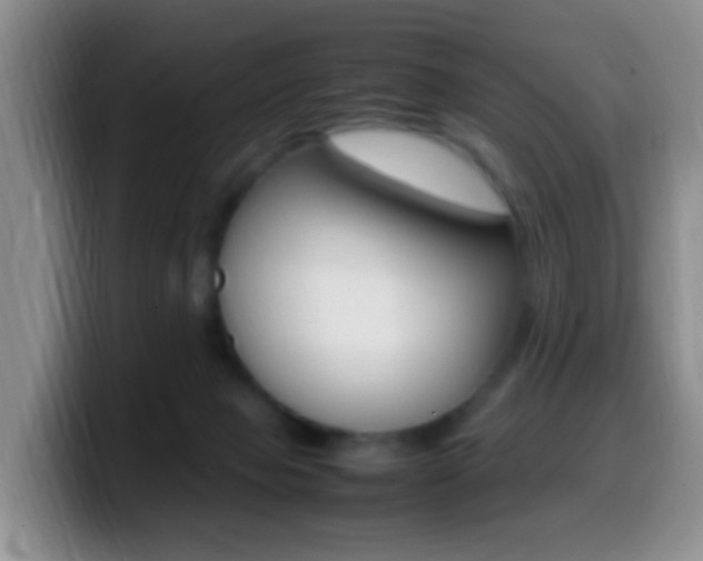 X0000099980077200805231032