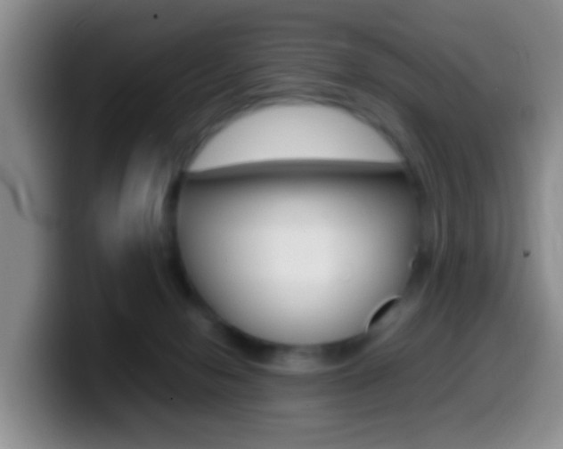 X0000099980078200805231032