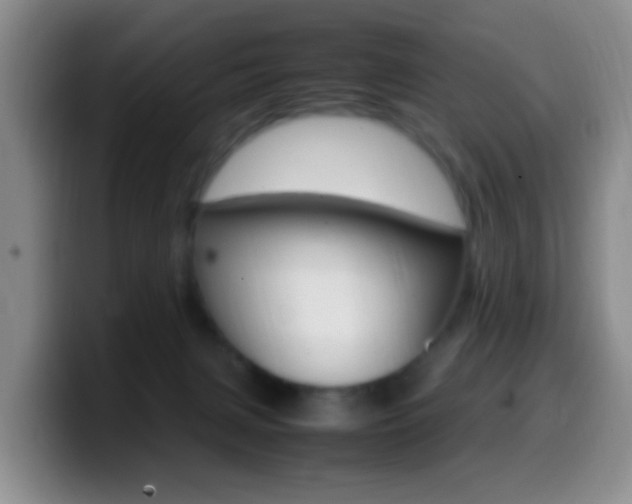 X0000099980079200805231032