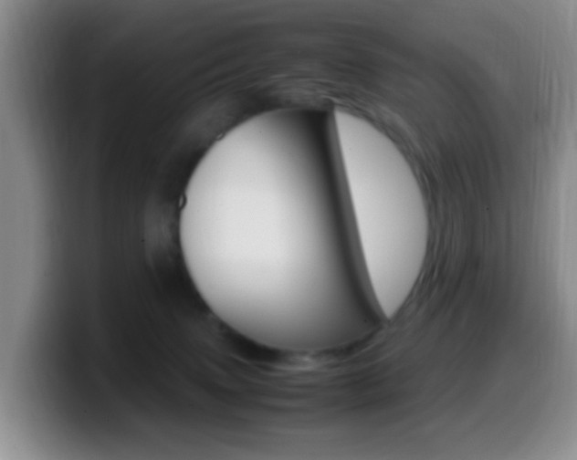 X0000099980083200805231032
