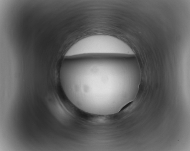 X0000099980086200805231032
