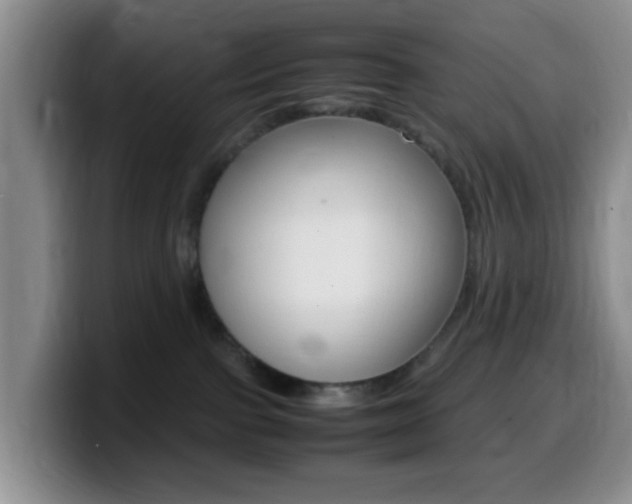 X0000099980091200805231032