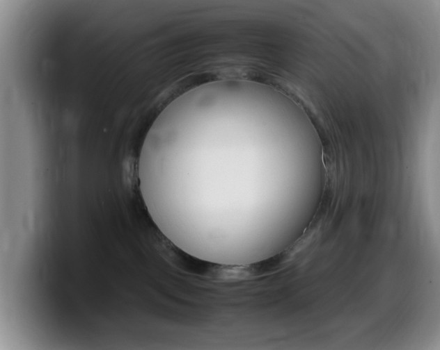 X0000099980093200805231032