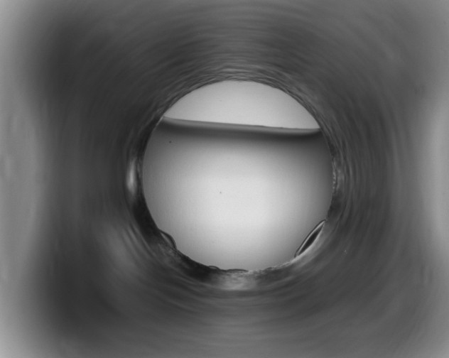 X0000099980094200805231032