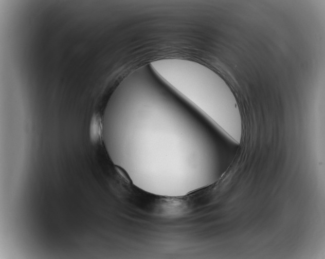 X0000099980095200805231032