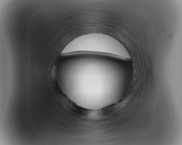 X0000099980096200805231032