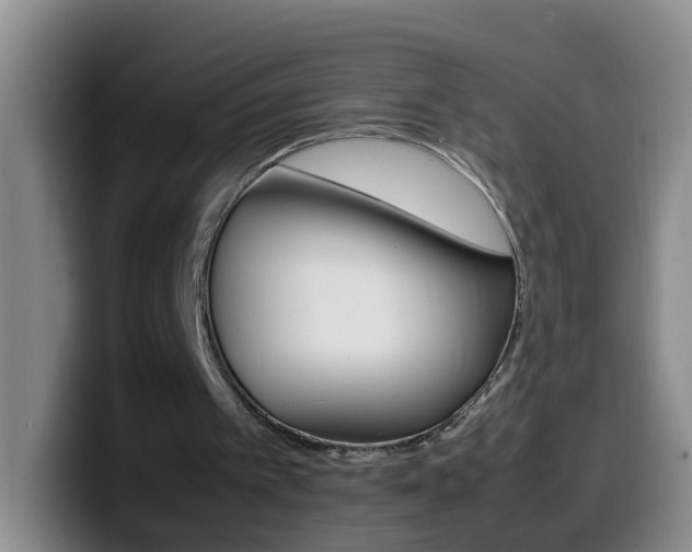 X0000099980097200805231031
