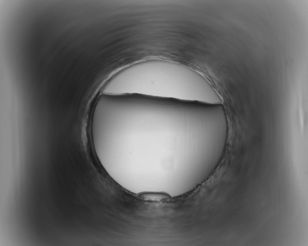 X0000099980098200805231031