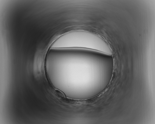 X0000099980099200805231031
