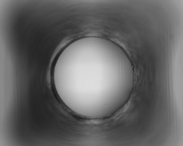 X0000099980102200805231031