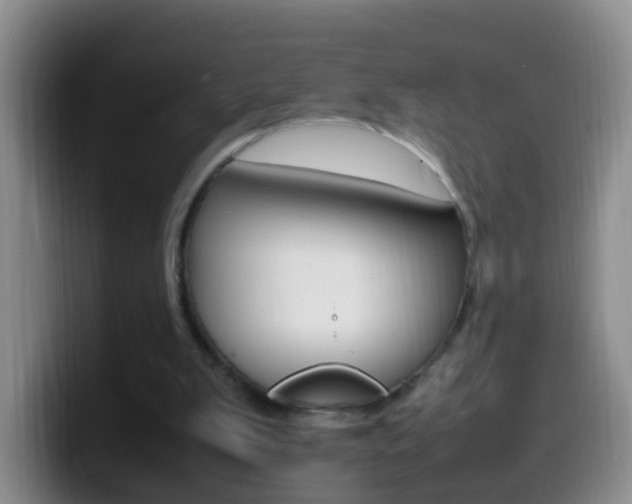 X0000099980103200805231031